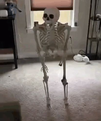 a skeleton is standing on its hind legs in a living room in front of a window .