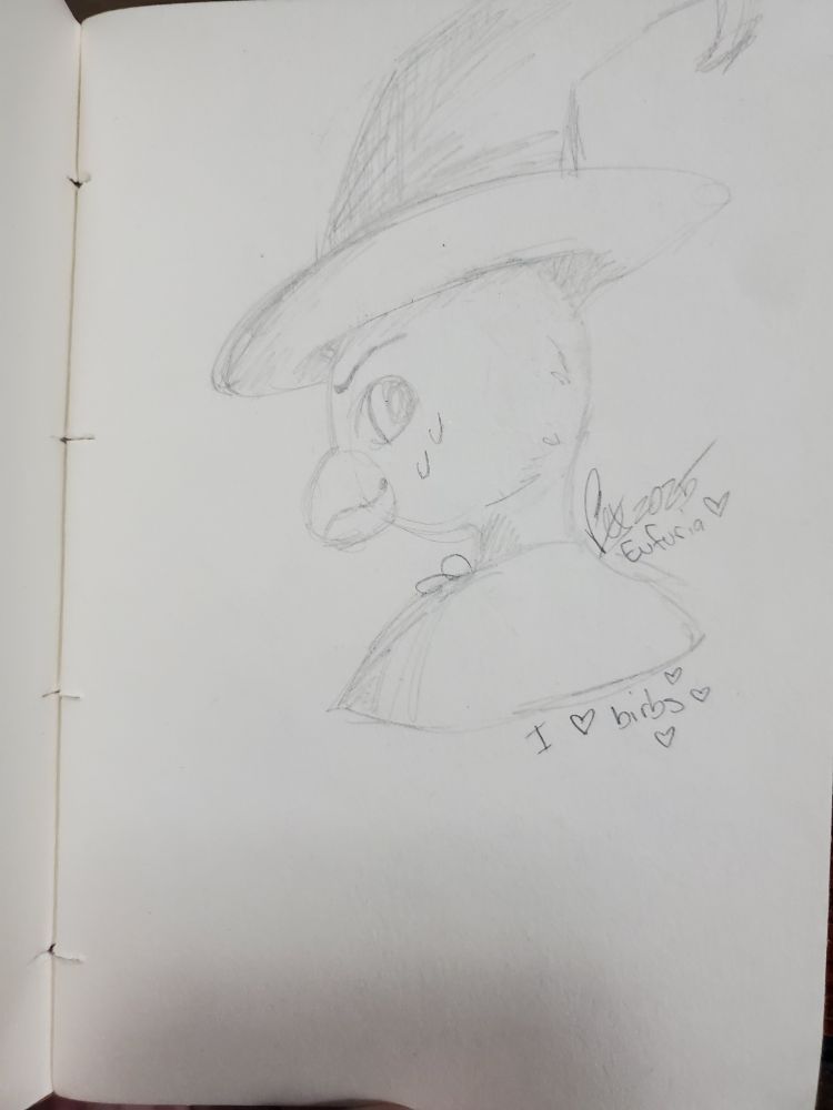 Side angle wizbirb