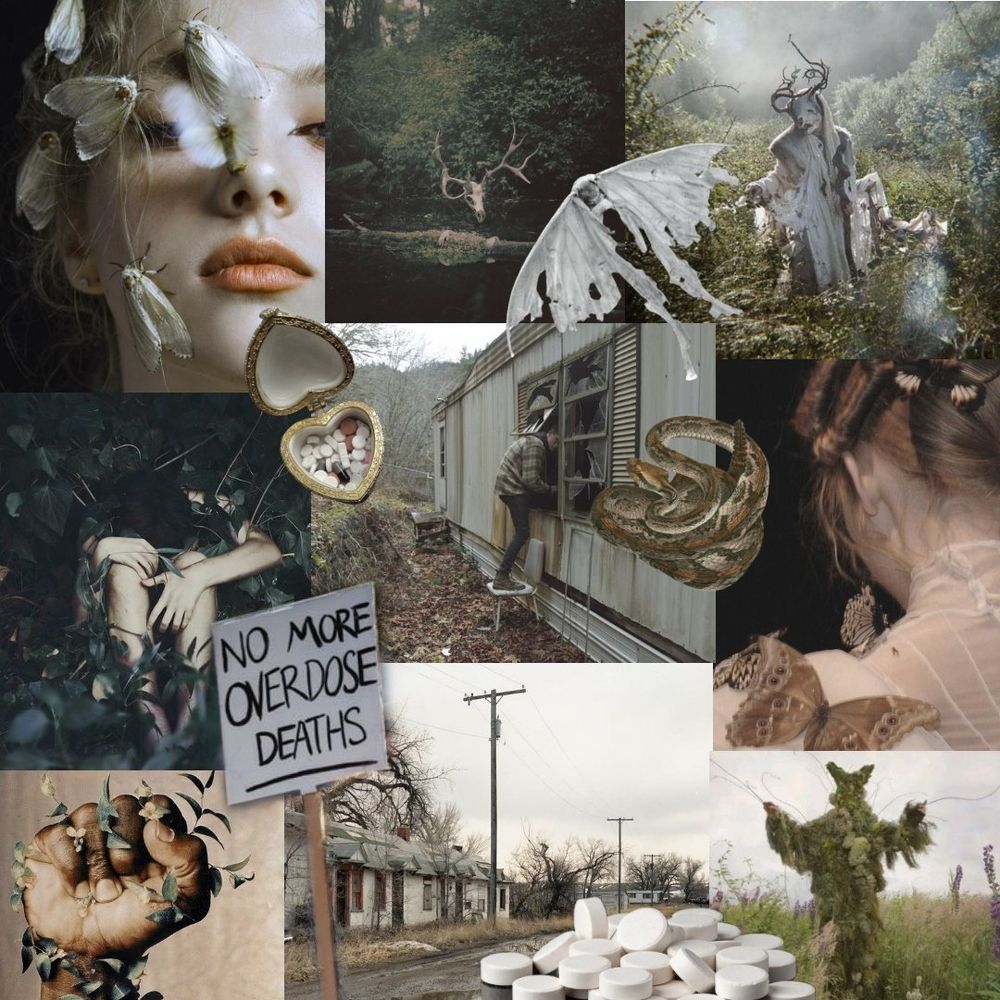 Green and grey collage of rural, forested images with a supernatural feel. Including a no more overdose deaths sign, tattered moth, kid climbing in an old mobile home, deer creatures, copperhead coiled to strike