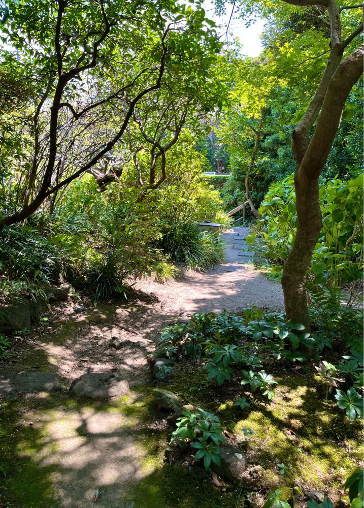 山口蓬春記念館の庭園。
夏の日差しを受ける木々の葉が煌々と輝いていた。