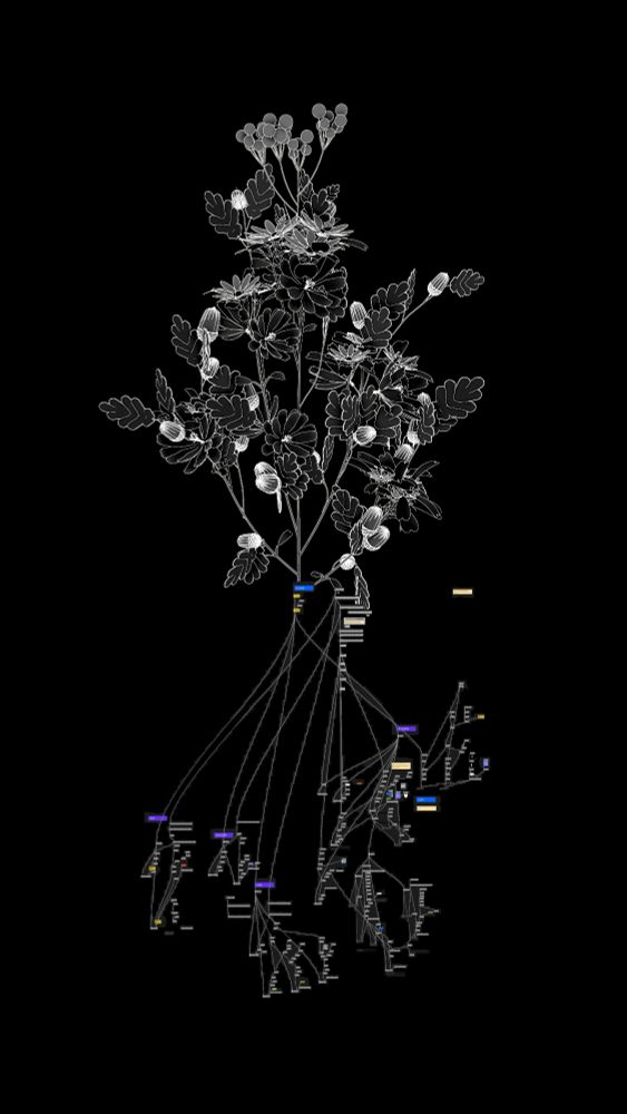 <https://bsky.app/profile/marcinignac.bsky.social|@marcinignac.bsky.social>: Graph as root of a procedural system.