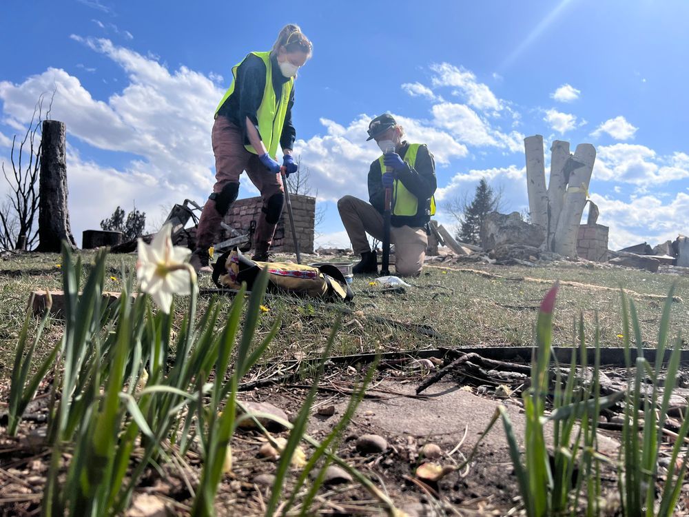Two people in yellow, high-visibility vests use hand-held tools to sample soil in a yard.