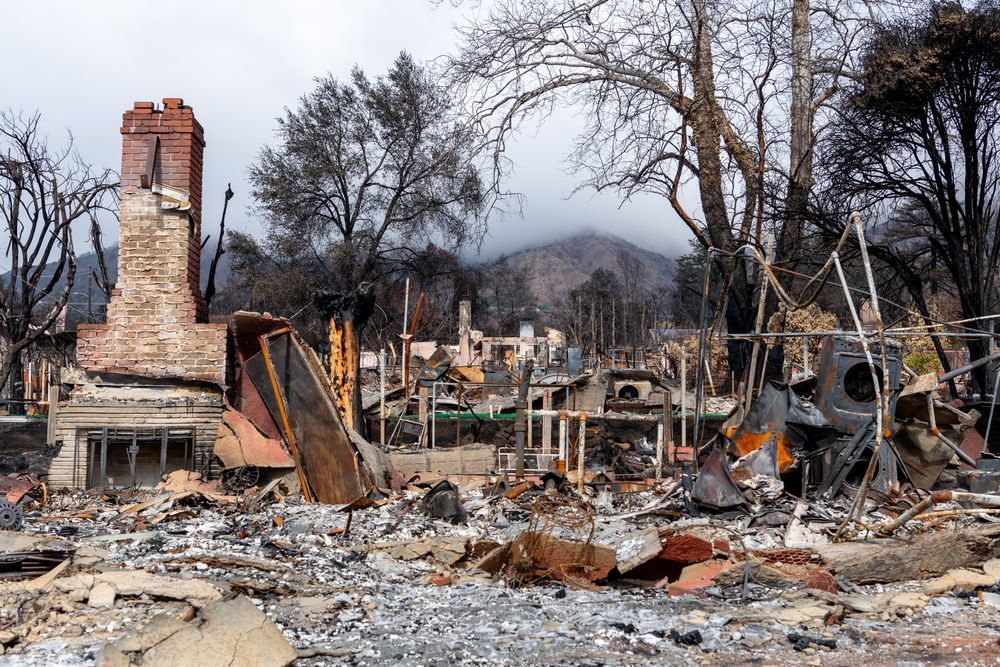 Extensive fire damage, including crumbled buildings, scorched trees, and ash, in a neighborhood