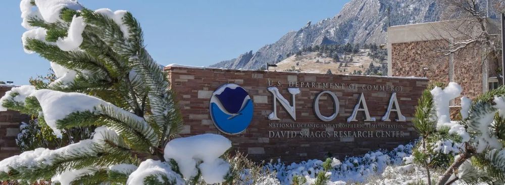 A brick wall with "NOAA" and the NOAA logo surrounded by snow-covered bushes. 