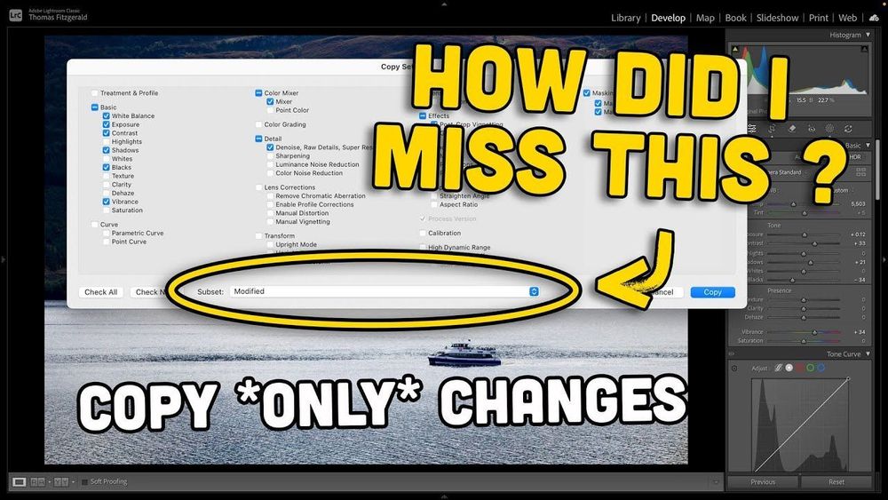 Lightroom 14.5 Hidden Feature: Copy *ONLY* Changed Adjustments