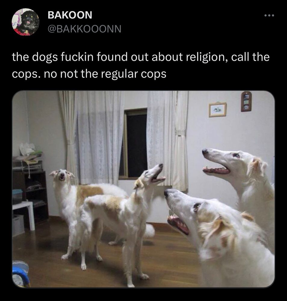 Screenshot of a tweet by @bakkooonn with a photo of four white borzois with the caption, “the dogs fuckin found out about religion, call the cops. no not the regular cops”