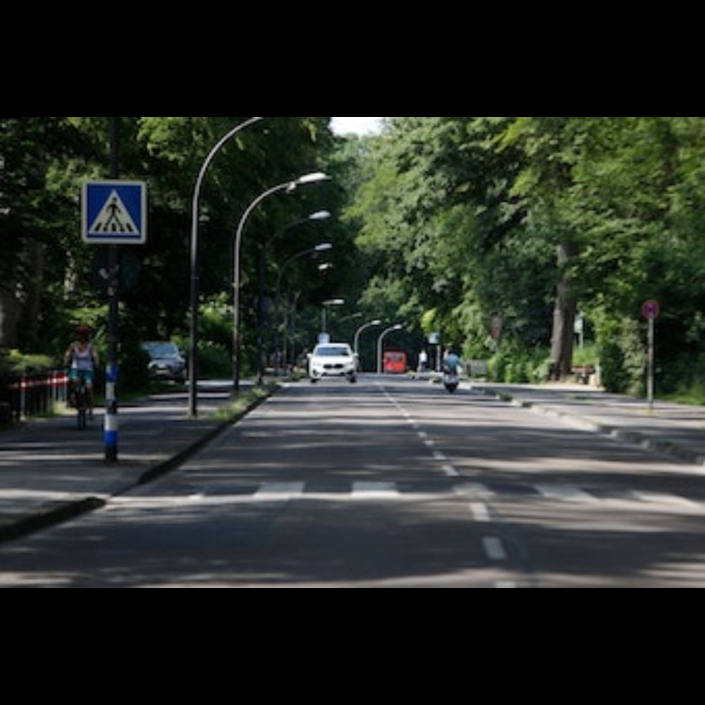 Köln-Lindenthal: Bezirksvetretung verklagt Stadtrat