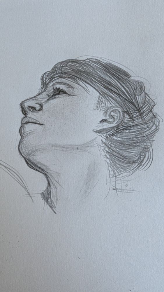 A pencil sketch of the attached stock image, a woman's face from below and at an upward angle.