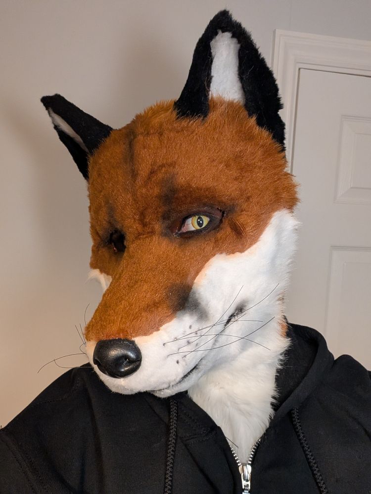 Fox curious selfie