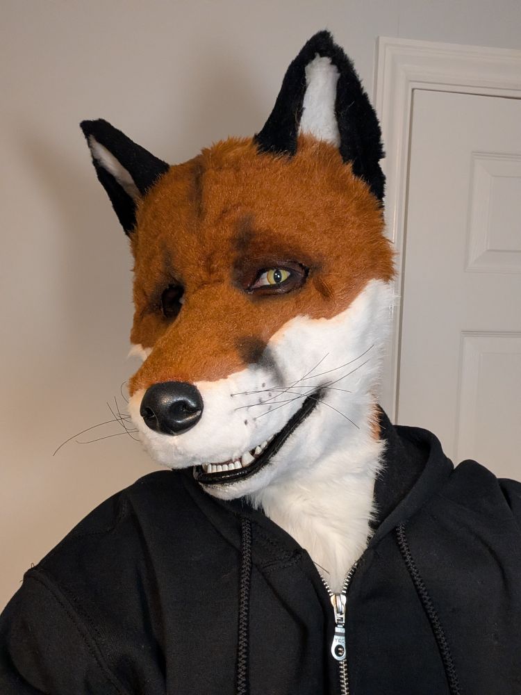 Fox curious smile selfie