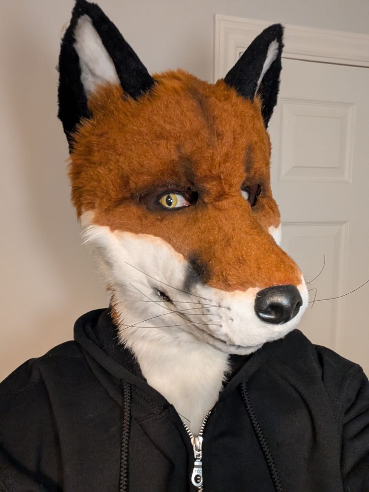 Fox selfie