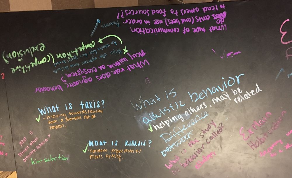 Picture of students writing in chalk marker about ecology content.