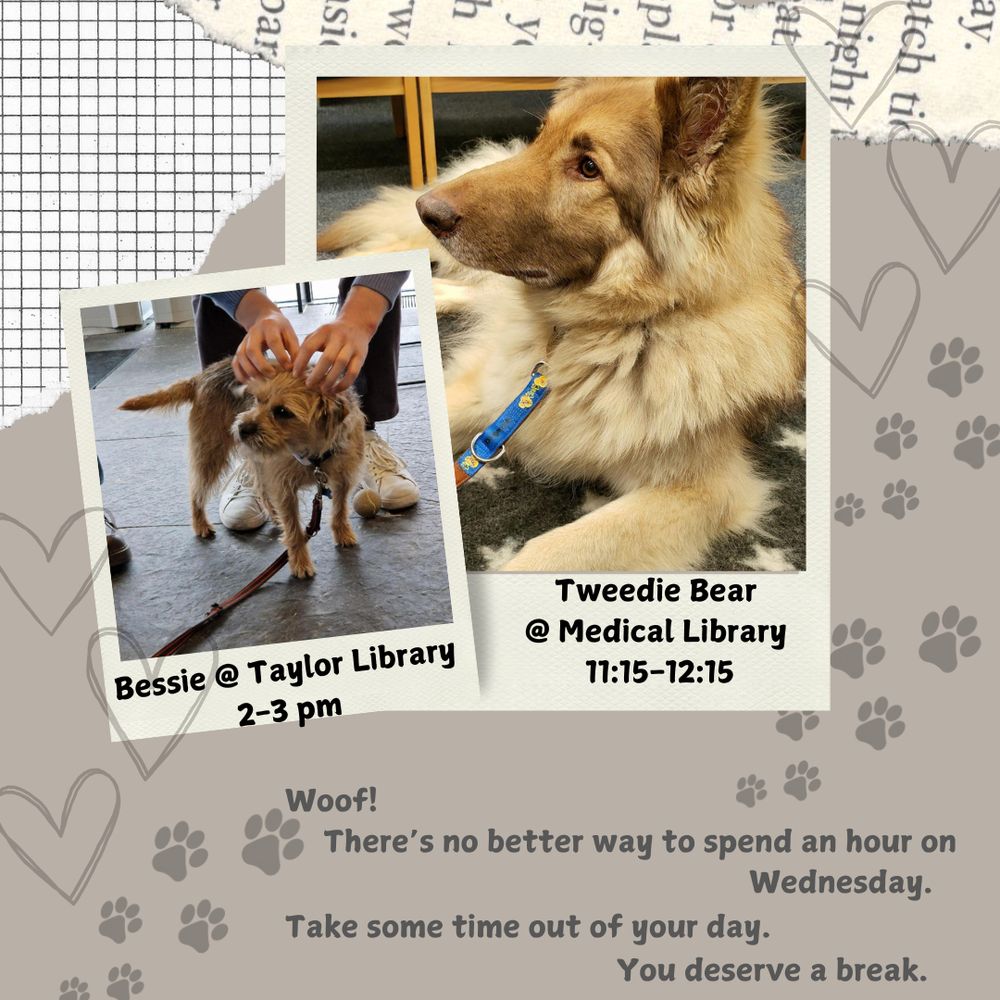 An image of Bessie and Tweedie Bear two Therapet dogs with text that reads “Bessie at Taylor Library 2-3pm Tweedie Bear at Medical Library 11:15am to 12:15pm. Woof! There's no better way to spend an hour on Wednesday. Take some time out of your day. You deserve a break."