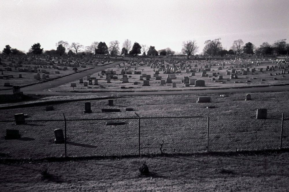 Chain link fence with graveyard in the background