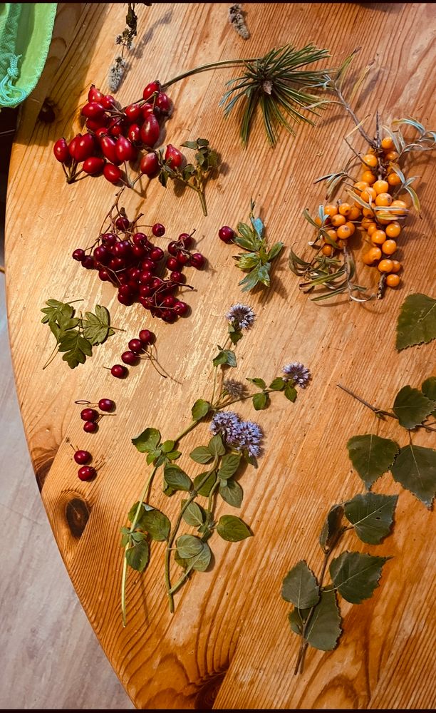 A photo of a table top showing a display of a modest harvest: Buckthorn, Hawthorn, Rosehip, Wild Mint and more.

KC,
Love