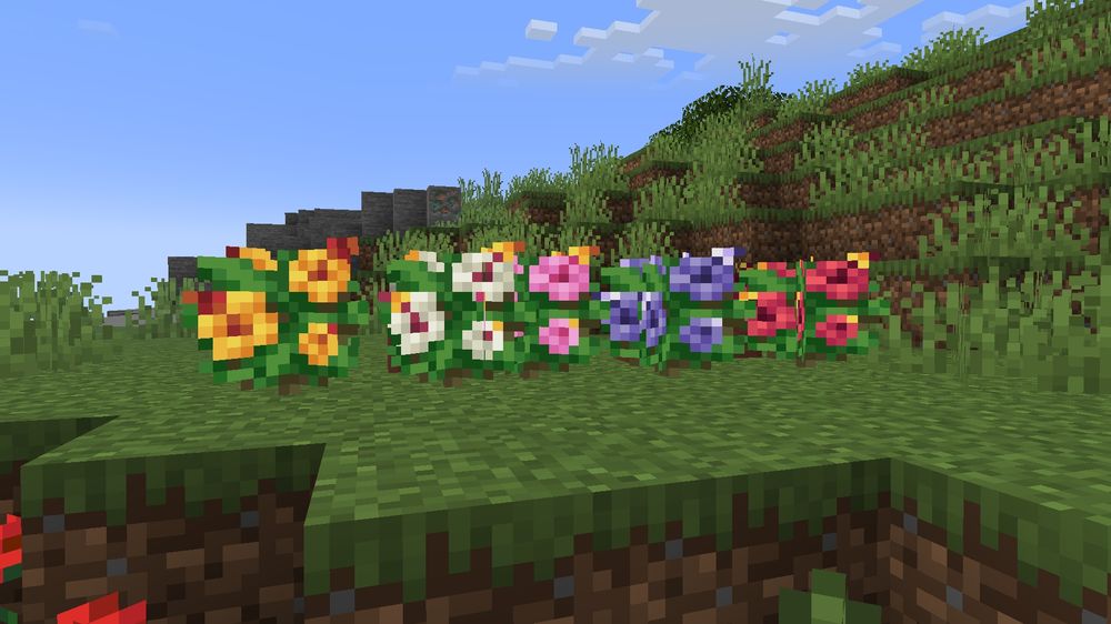 A row of different colored hibiscus bushes in order of yellow, white, pink, purple, and red specifically.
