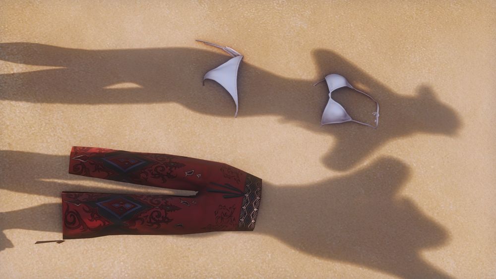 shadows of sarama and g'raha on the beach, with sarama's bikini and g'raha's beach shorts placed on the shadows