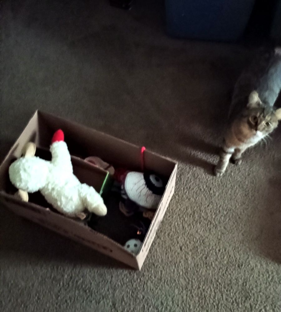 Toys in a box