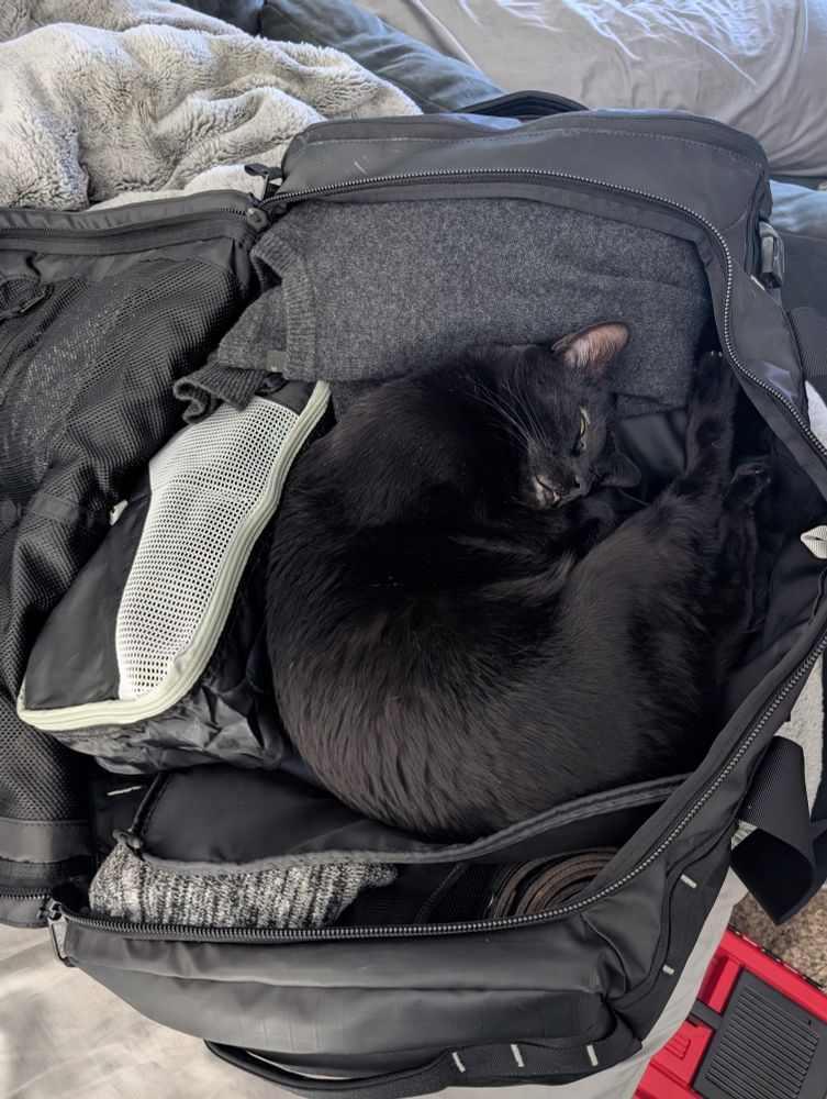 A small black cat is curled up in a ball, sleeping inside of a duffel bag that is packed with clothes for an upcoming trip.