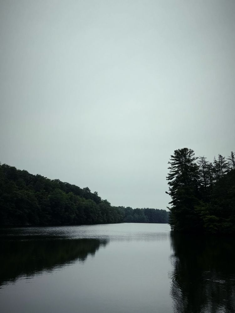 small tree-lined lake, smooth water, overcast sky 
