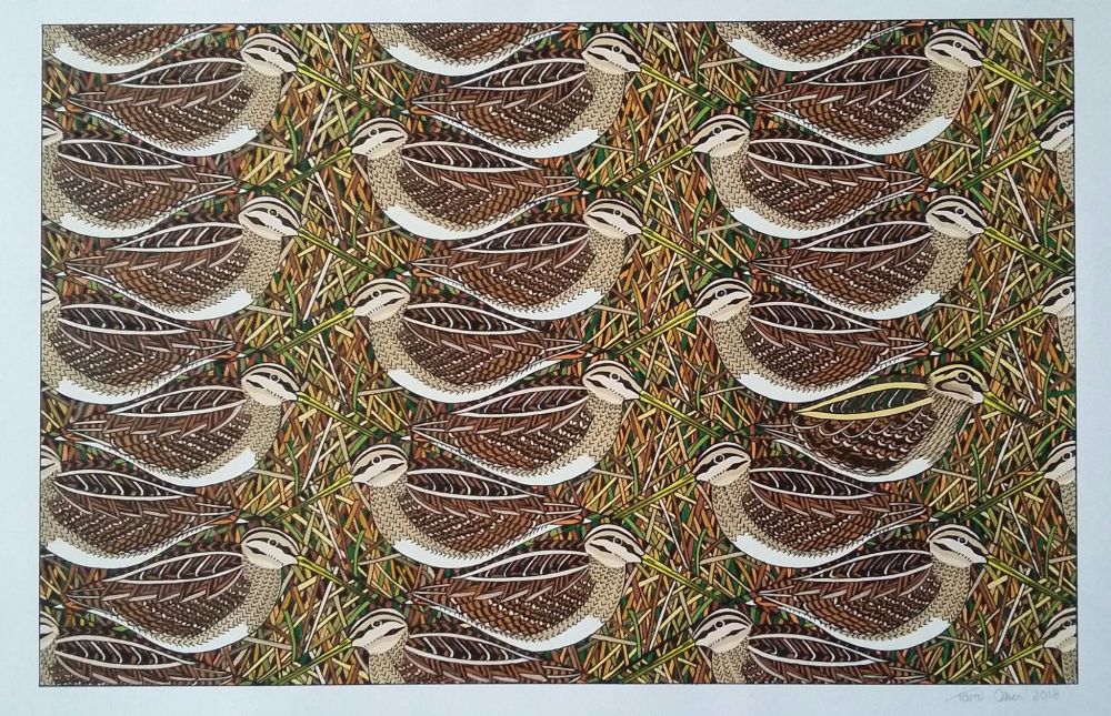 Artwork- snipe with one hidden jack snipe