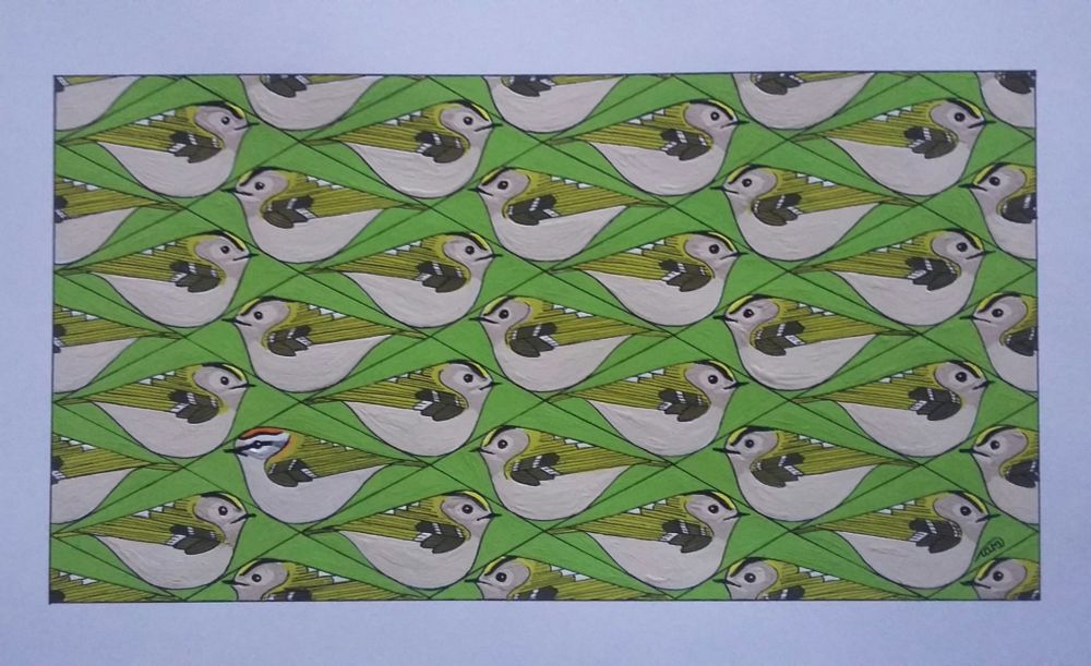 Artwork - goldcrests with one hidden firecrest