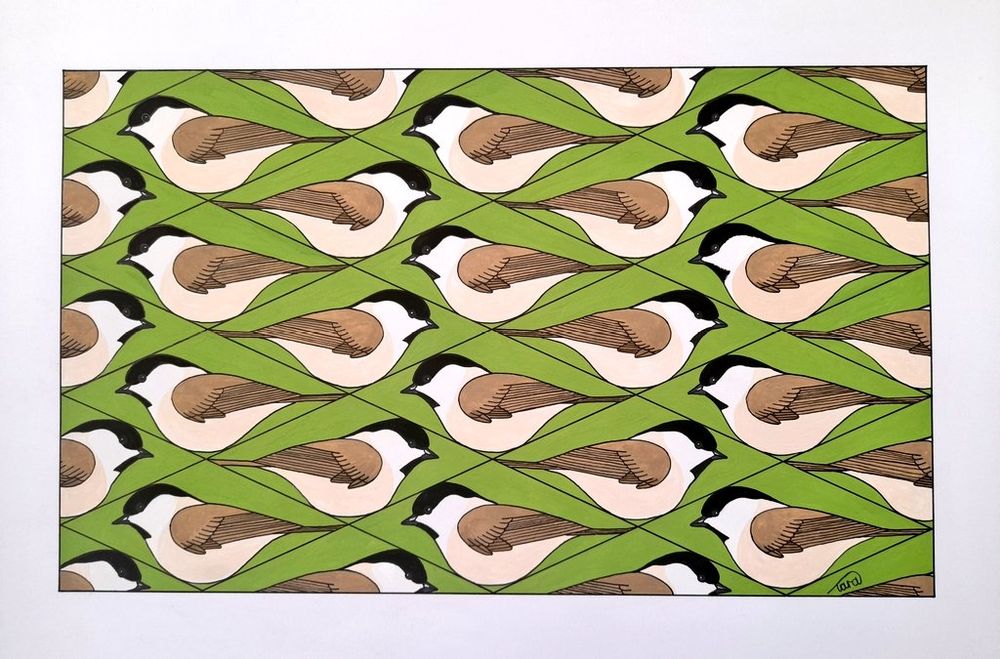 Artwork - marsh tits with one hidden willow tit 
