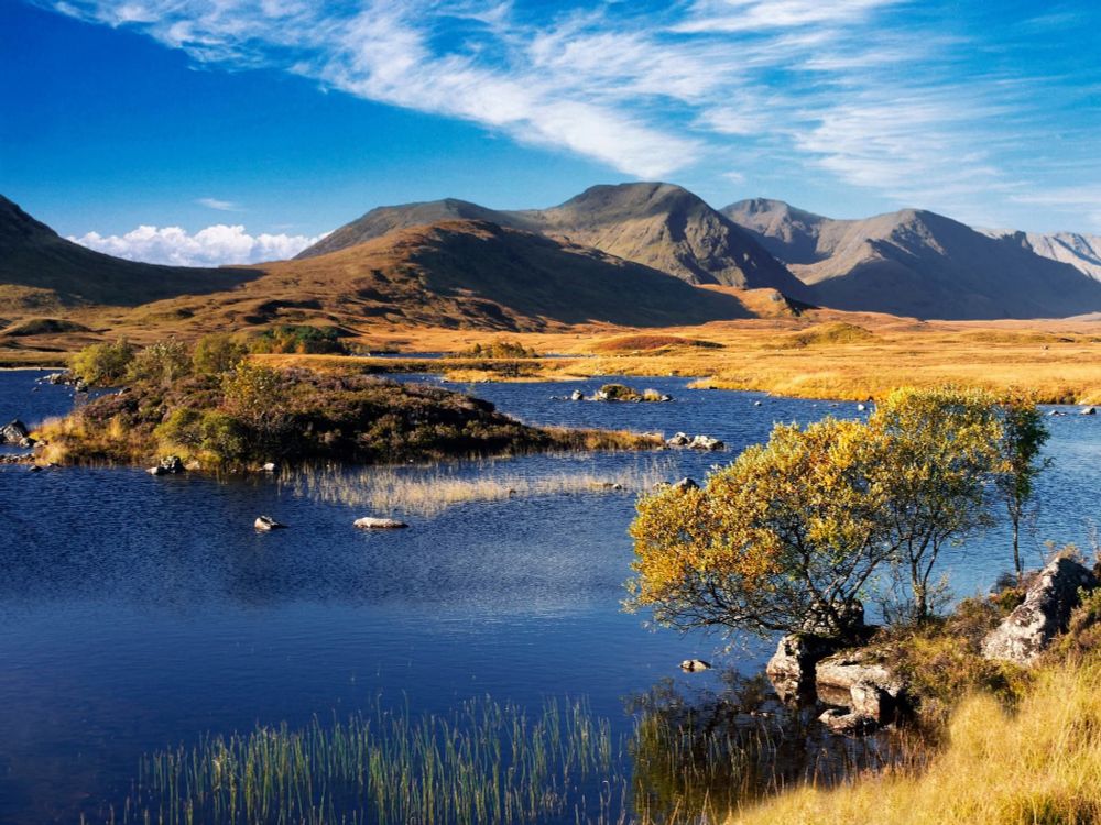 Autumn on Rannoch Moor.