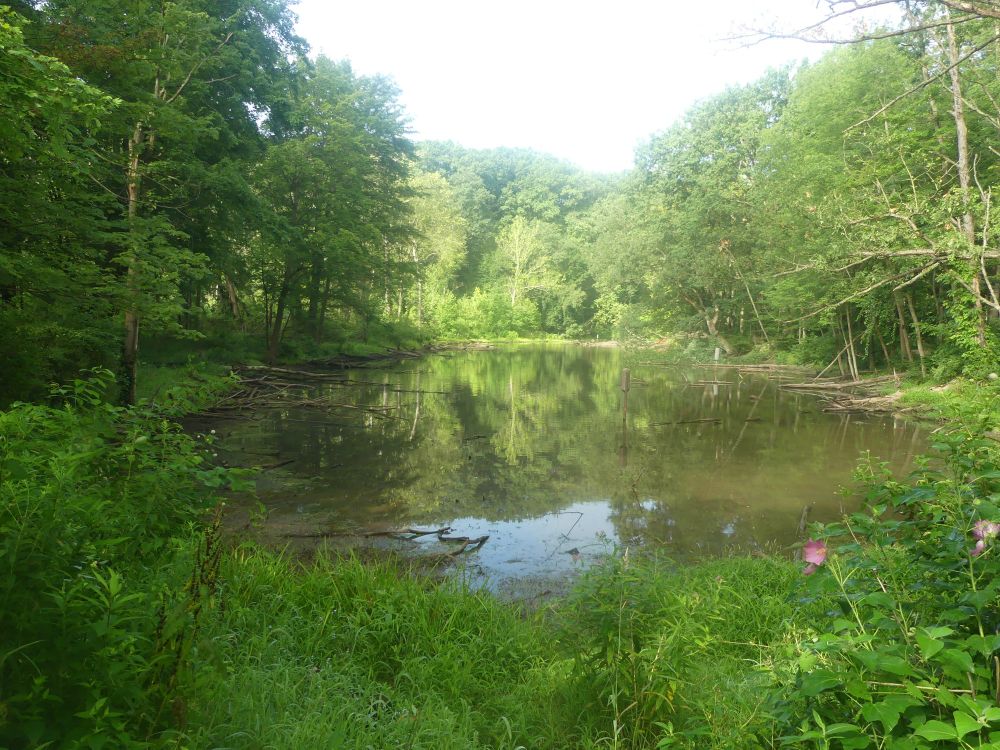 Looking down Oxbow Lagoon. 