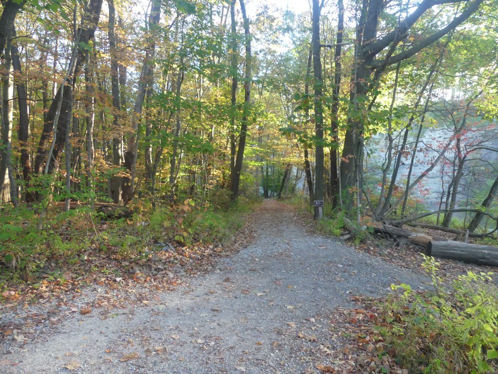 The bridle path. 