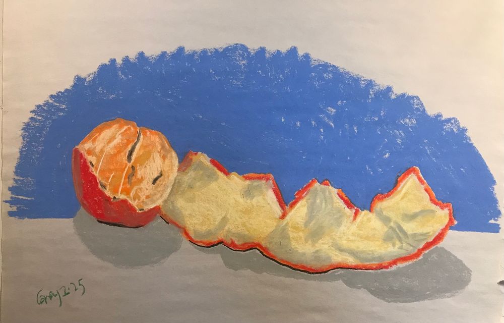 Pastel, 18 x 24 of a half-peeled orange.
