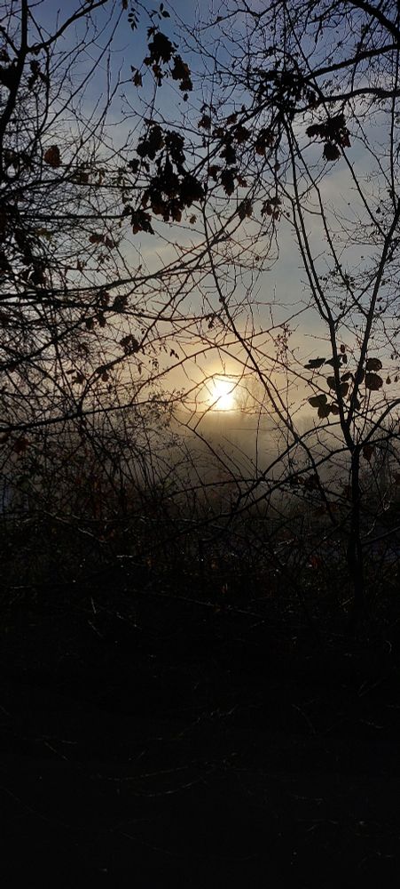 Brume et soleil du matin