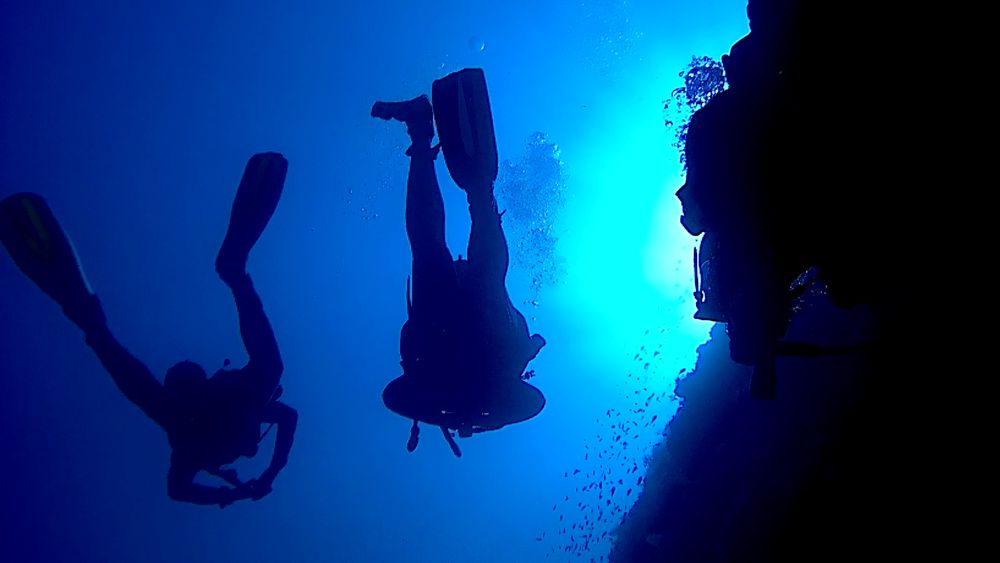 2 plongeurs vus de dessous en contrejour dans le bleu et le long d'un récif