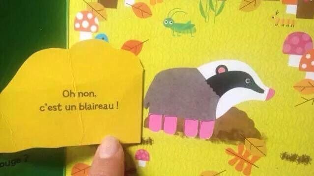 Image d'un livre pour enfant avec un blaireau