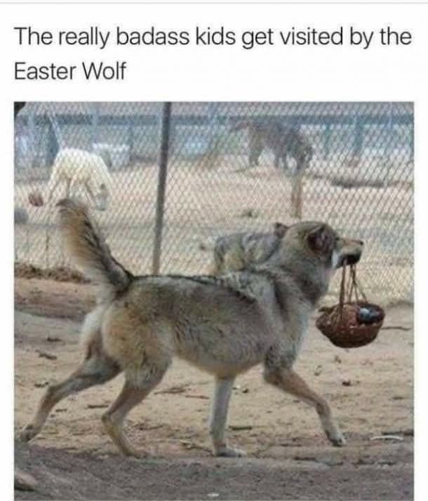 Photo of a grey wolf walking away from the camera, holding a basket of Easter eggs in their mouth. The caption reads "The really badass kids get visited by the Easter Wolf"