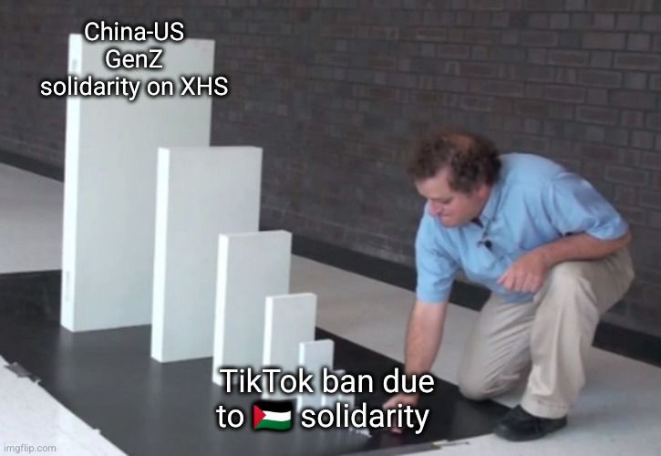 Domino meme which starts with "TikTok ban due to 🇵🇸 solidarity" and ends with "China-US GenZ solidarity on XHS"