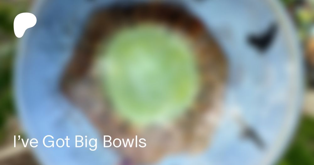 I’ve Got Big Bowls | Amy Davis Roth