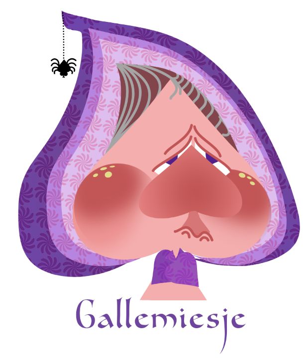 Illustration of a gnome woman based on the spade of playing cards. Below the illustration is her name, Gallemiesje.
Made with vector shapes in Photopea.