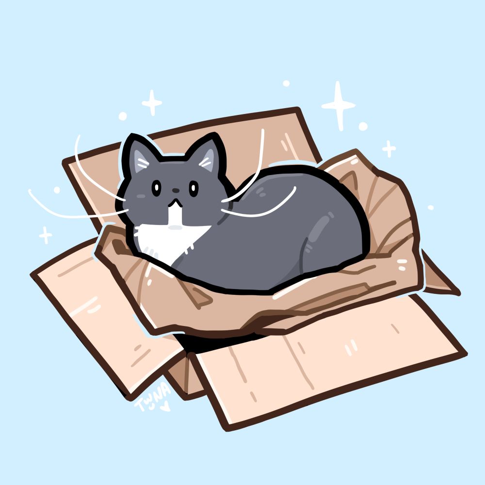A grey tuxedo cat sitting in a box