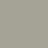 a square filled in with yellowish gray color  #a5a396.