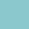a square filled with the color #8bc8cd.