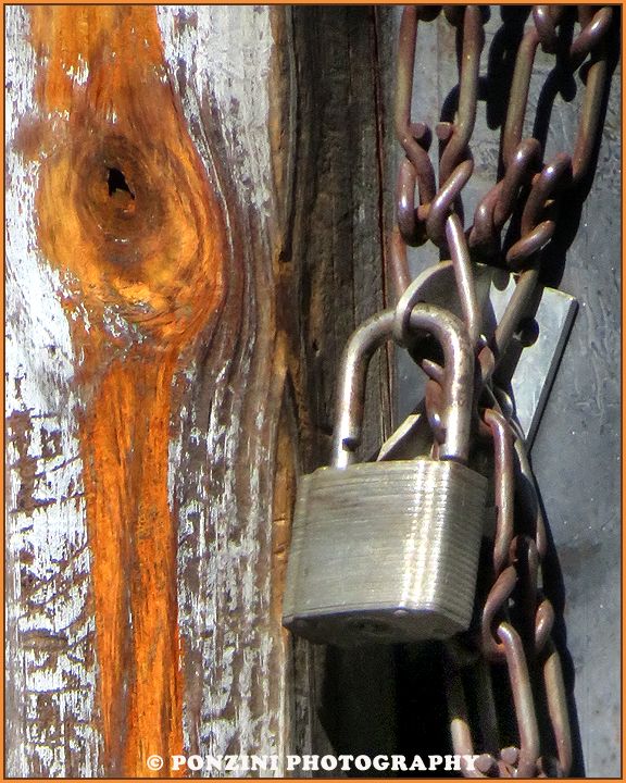 A metal lock hangs from a metal chain next to a weathered wood knot.