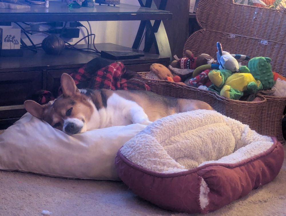 A corgi sleeping on a big pillow 