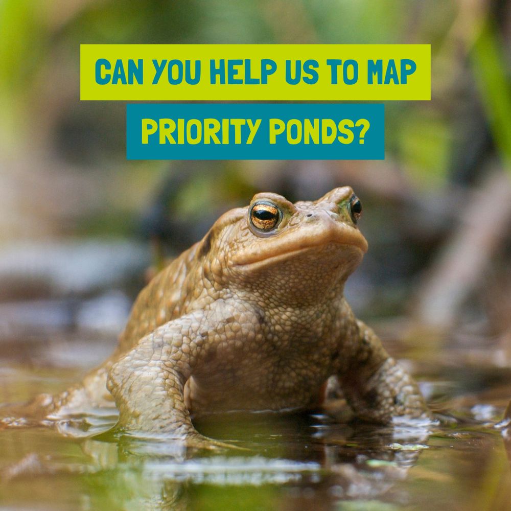 Photo of a toad, partly submerged in water. Text reads 'Can you help us to map Priority Ponds?'