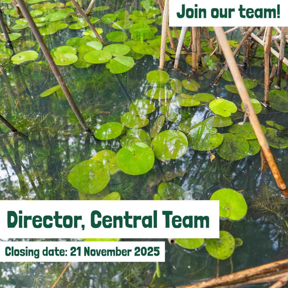 Photo of green plants on surface of a pond. Text reads 'Join our team! Director, Central Team. Closing date: 21 November 2025.'