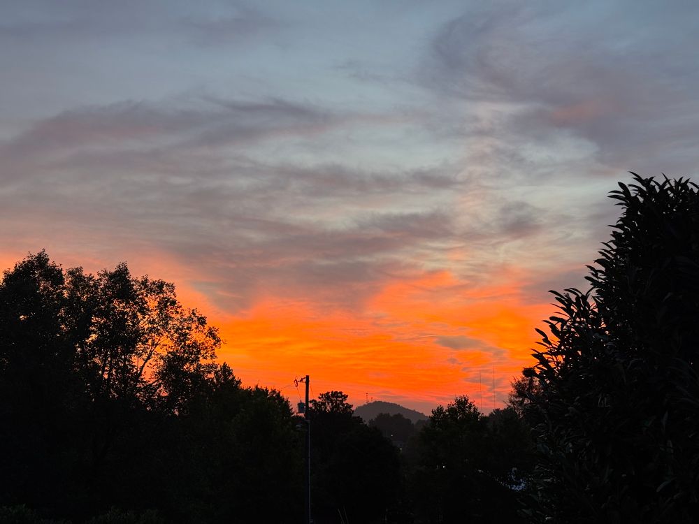 Post image (had no alt text on Bluesky)