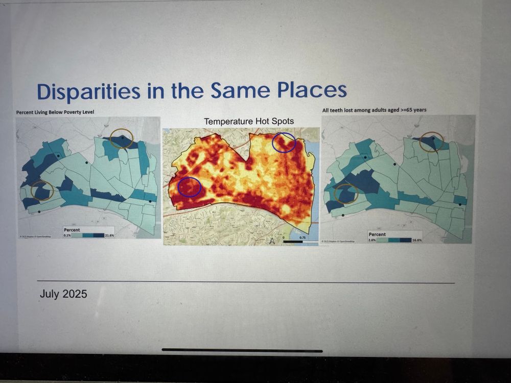 Three maps of disparities in Alexandria. 