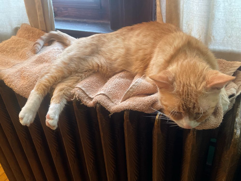A small orange cat rests on a a towel on a radiator.