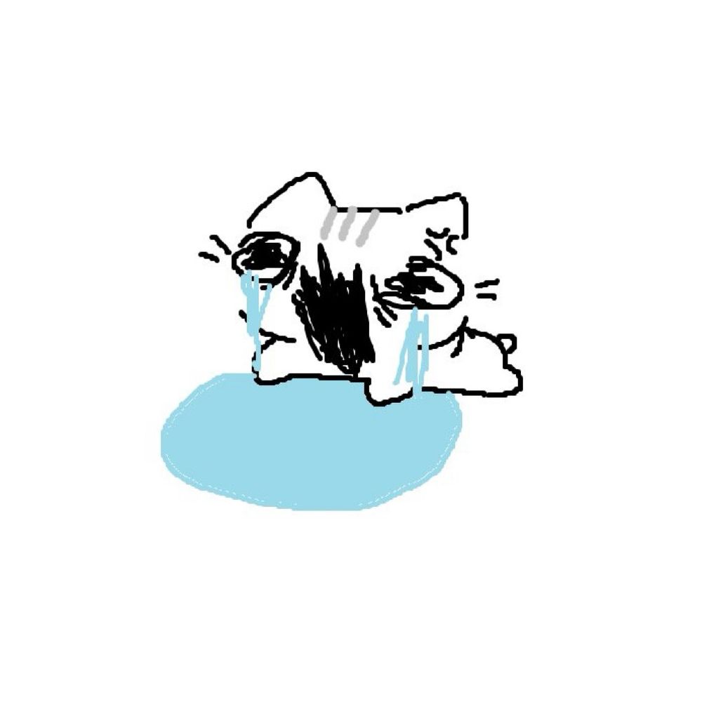 Comment image