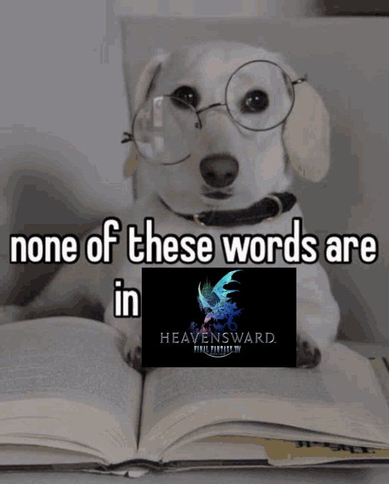 FFXIV meme

a dog with glasses holding open a book with text that says "none of these words are in heavensward"